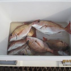 下関フィッシングパーク 釣果