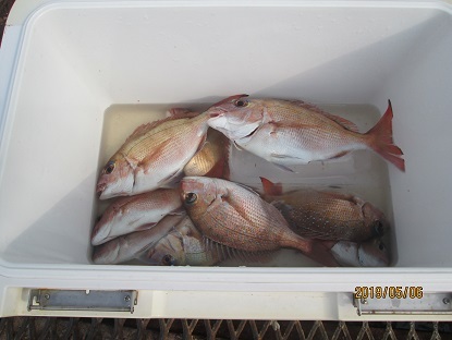 下関フィッシングパーク 釣果