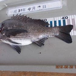 姫路市立遊魚センター 釣果