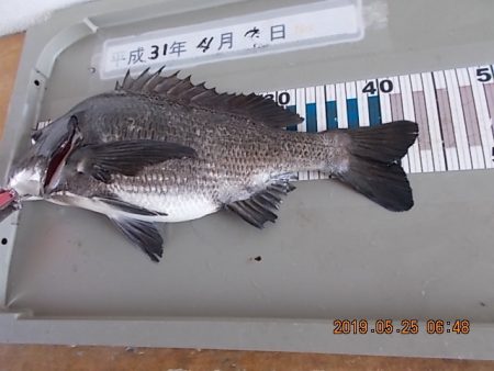 姫路市立遊魚センター 釣果