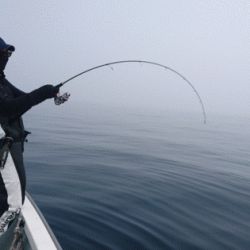 遊漁船ブルーウッズ 釣果