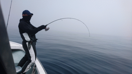 遊漁船ブルーウッズ 釣果