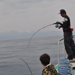 八海丸 釣果
