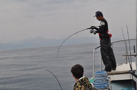 八海丸 釣果