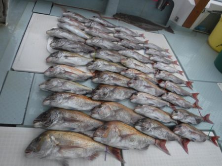 遊漁船 幸友丸 釣果