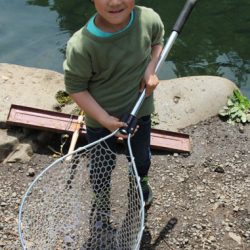 小菅トラウトガーデン 釣果