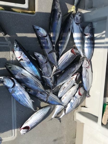 へいみつ丸 釣果