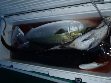 第二むつ漁丸 釣果