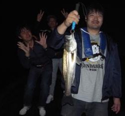 シーマジカル 釣果