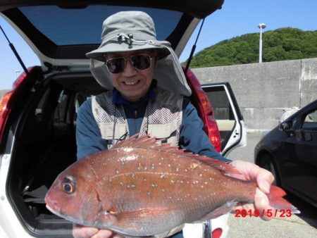 大進丸(新潟) 釣果