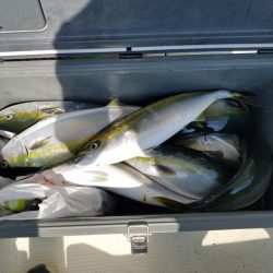 遊漁船 ニライカナイ 釣果