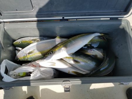 遊漁船 ニライカナイ 釣果