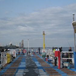 オリジナルメーカー海づり公園(市原市海づり施設) 釣果