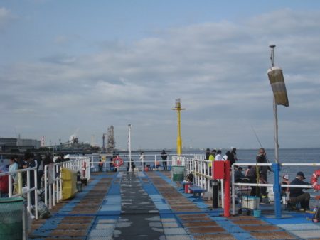 オリジナルメーカー海づり公園(市原市海づり施設) 釣果