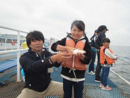 オリジナルメーカー海づり公園(市原市海づり施設) 釣果