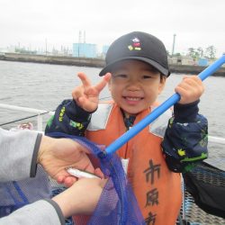 オリジナルメーカー海づり公園(市原市海づり施設) 釣果