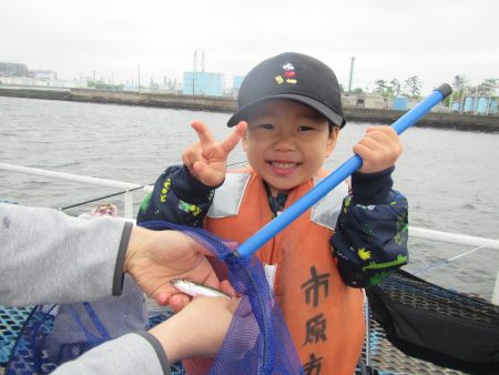 オリジナルメーカー海づり公園(市原市海づり施設) 釣果