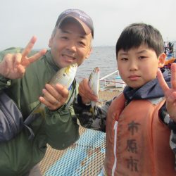 オリジナルメーカー海づり公園(市原市海づり施設) 釣果