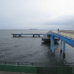 オリジナルメーカー海づり公園(市原市海づり施設) 釣果