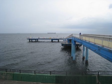 オリジナルメーカー海づり公園(市原市海づり施設) 釣果