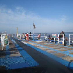 オリジナルメーカー海づり公園(市原市海づり施設) 釣果