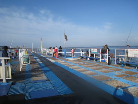 オリジナルメーカー海づり公園(市原市海づり施設) 釣果
