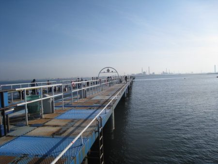 オリジナルメーカー海づり公園(市原市海づり施設) 釣果