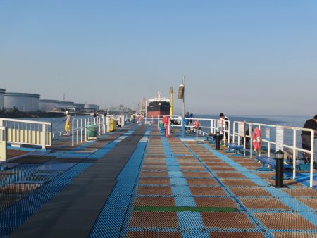 オリジナルメーカー海づり公園(市原市海づり施設) 釣果