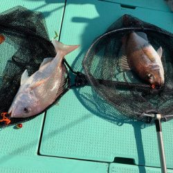 さんさん丸 釣果