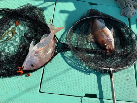 さんさん丸 釣果