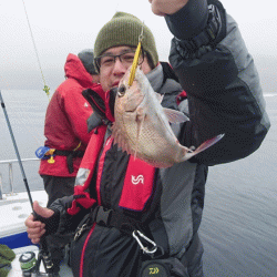 遊漁船ブルーウッズ 釣果