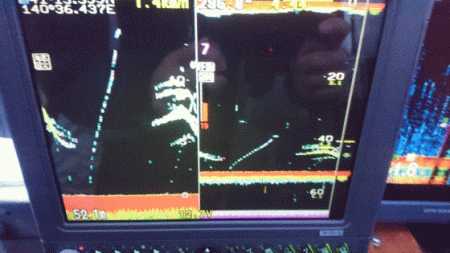 遊漁船ブルーウッズ 釣果