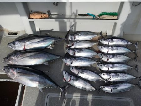 へいみつ丸 釣果