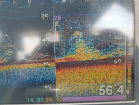 遊漁船　ニライカナイ 釣果
