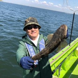 深川 吉野屋 釣果