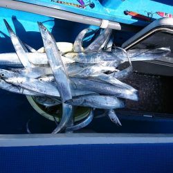 深川 吉野屋 釣果