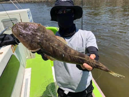 深川　吉野屋 釣果