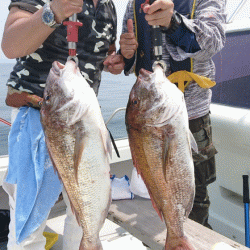 第二ゆず丸 釣果