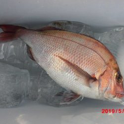 大進丸（新潟） 釣果