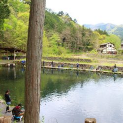 小菅トラウトガーデン 釣果