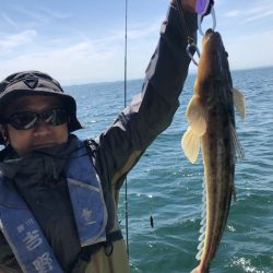 深川　吉野屋 釣果