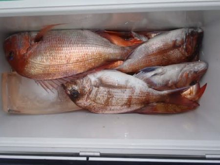 第二むつ漁丸 釣果