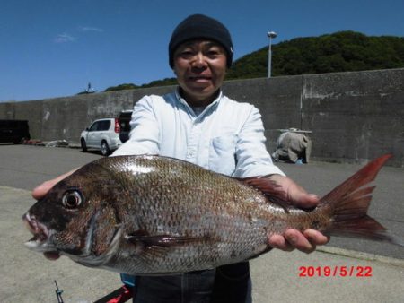 大進丸(新潟) 釣果