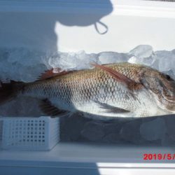 大進丸（新潟） 釣果