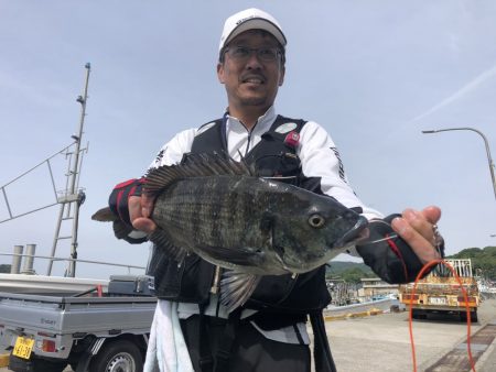 由良渡船 釣果