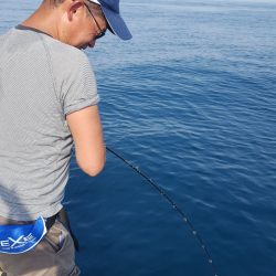 海峰 釣果