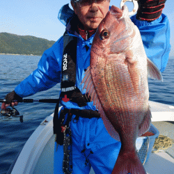 遊漁船ブルーウッズ 釣果