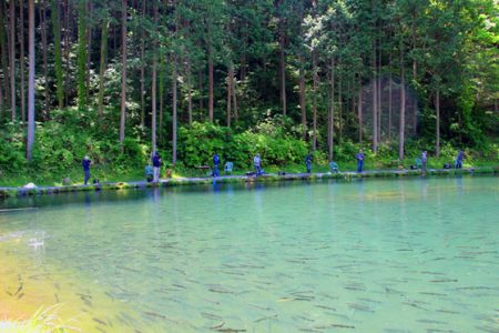 小菅トラウトガーデン 釣果