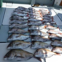 遊漁船 幸友丸 釣果