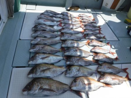 遊漁船 幸友丸 釣果